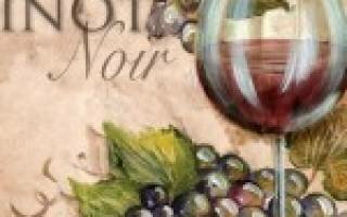 Вино «Пино нуар (Pinot noir)» – особенности и культура употребления
