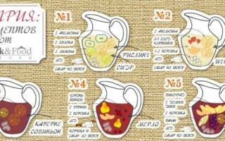 5 самых ярких вариантов коктейля — Сангрия, Drink — Food Inform