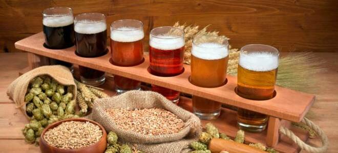 Пивоварение в домашних условиях для начинающих: этапы приготовления пива и простые рецепты