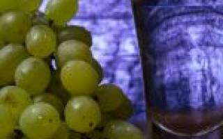Писко – ароматный виноградный самогон из Перу и Чили