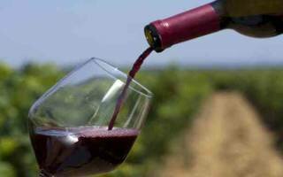 Обзор марок и видов вин Македонии
