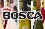 Шампанское Боска (Bosca): описание, история и вид марки