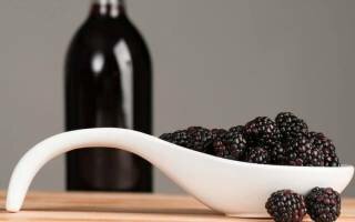Как сделать вино из ежевики в домашних условиях — 3 рецепта