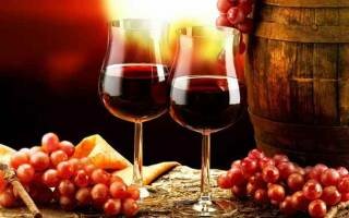 Биодинамическое вино: что это такое