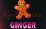 10 отзывов о бренде Duft — GingerBread (Имбирный Пряник) 100 гр