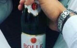 Шампанское Болле (Bolle): описание, история и виды марки