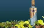 Водка «Байкал» – чистый алкоголь на кедровых орехах Видео, Наливали