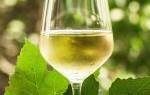 Вино Алиготе (Aligote): особенности, виды, культура пития
