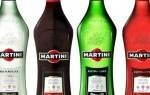 Виды мартини – изучаем классификацию напитка