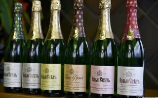 Шампанское Новый Свет: история, обзор вкуса и видов