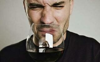 Что делать, если вино зауксилось: причины, методы исправления проблемы