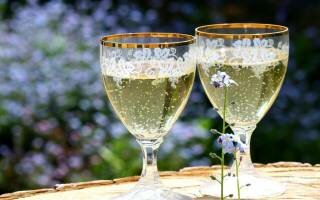 Как сделать шампанское в домашних условиях