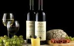 Вино Вранац: история коротко, как делают и производители