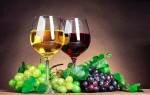 Вино из винограда: 2 самых простых пошаговых рецепта в домашних условиях