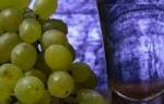 Писко – ароматный виноградный самогон из Перу и Чили